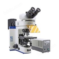 FLUO系列正置和倒置荧光显微镜