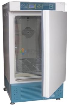 天津霉菌培养箱MJX-250细菌试验箱